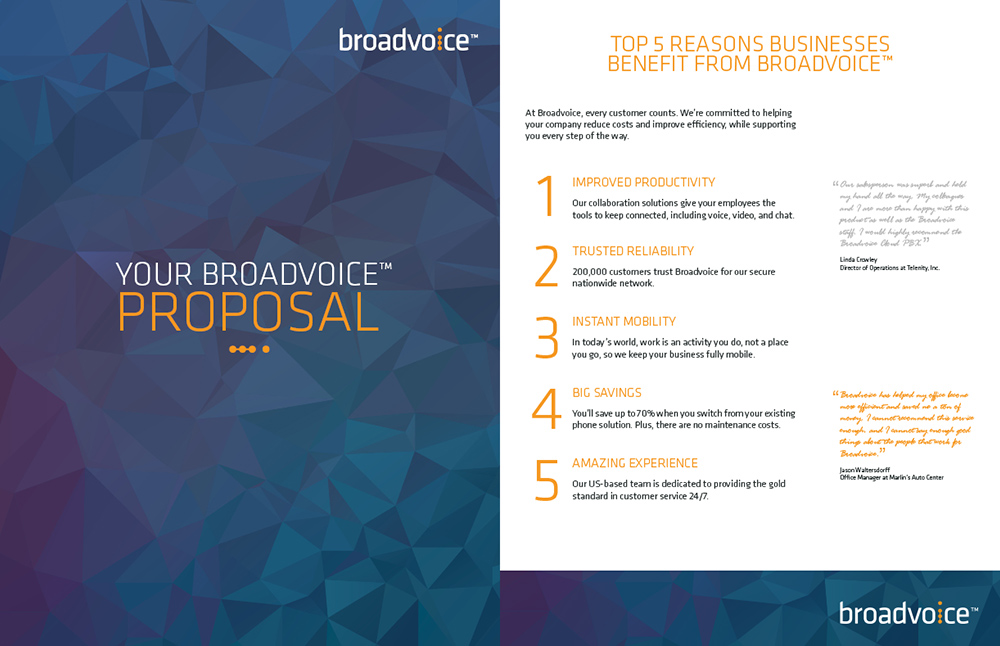 Layout for Broadvoice Proposal